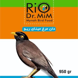 دان مرغ مینا ریو