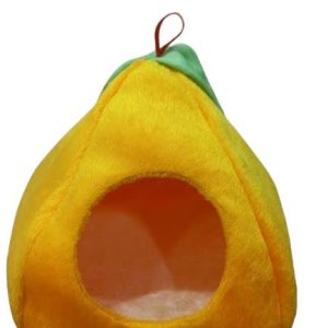مخفیگاه میوه ای