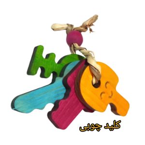 دسته کلید بزرگ